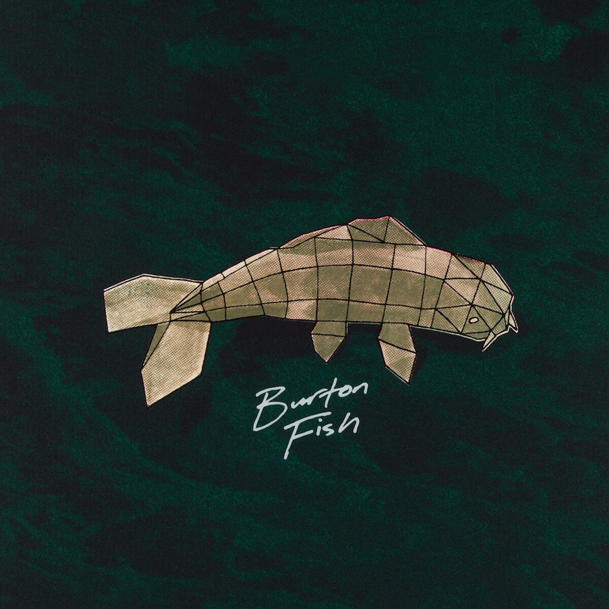 BURTON FISH 3D 156 | Obsession Shop