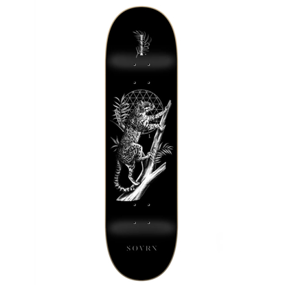 SOVRN FELIS B 8.18" DECK ASSORTED 8.18"