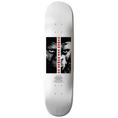 ELEMENT POTA ARISE 8.5" DECK ASSORTED 8.5"