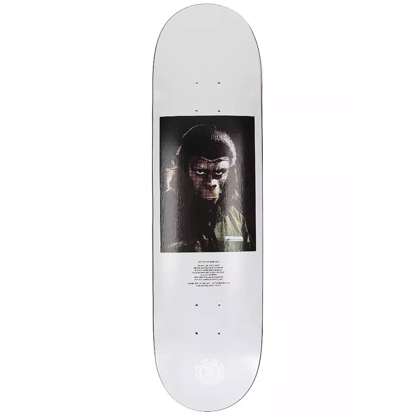 ELEMENT POTA WASTELAND 8.25" DECK ASSORTED 8.25"