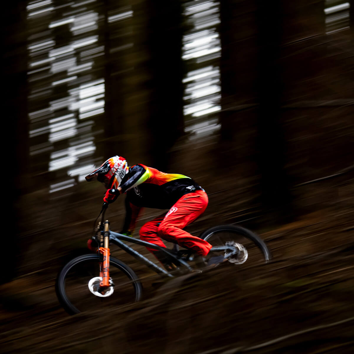 Tld shop sprint jersey