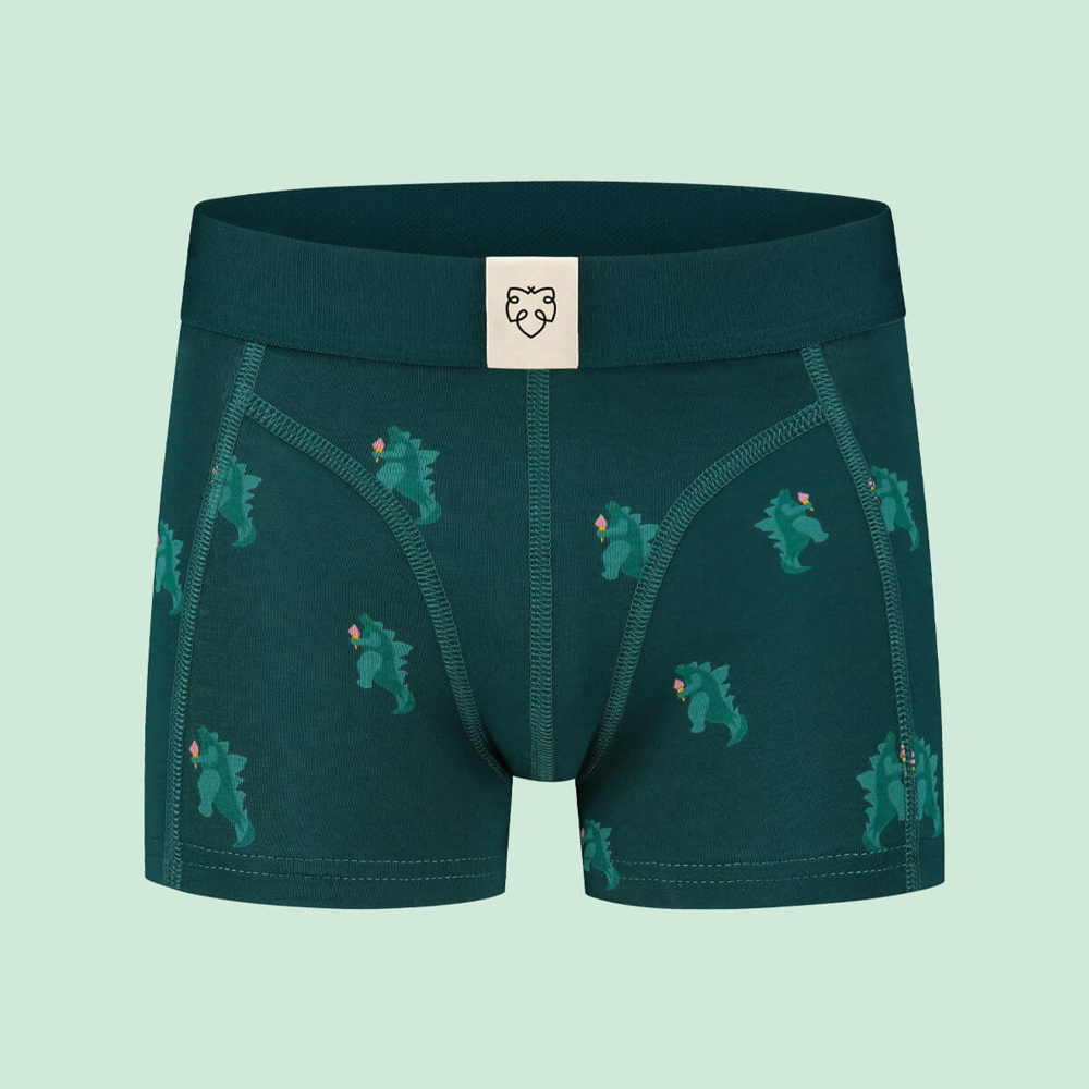 ADAM ICEZILLA BOXER BRIEFS ASSORTED 8. 07. 2023