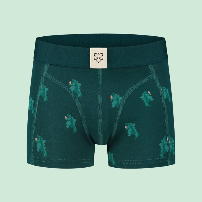 ADAM ICEZILLA BOXER BRIEFS ASSORTED 8. 07. 2023