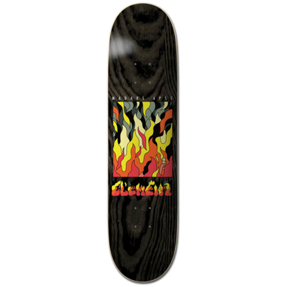 ELEMENT LANDREIN MADARS APSE ASSORTED 8.3"