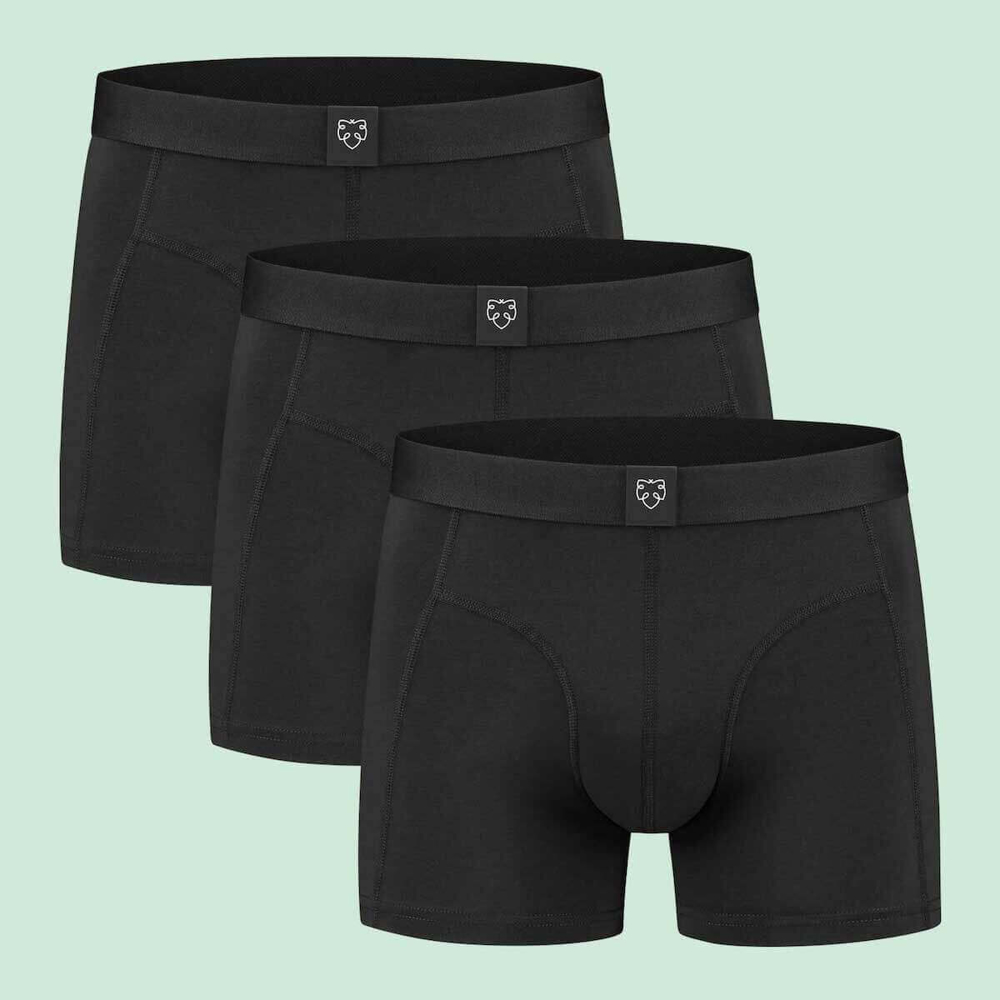 ADAM JELLE 3 PACK BOXER BRIEFS ASSORTED XL
