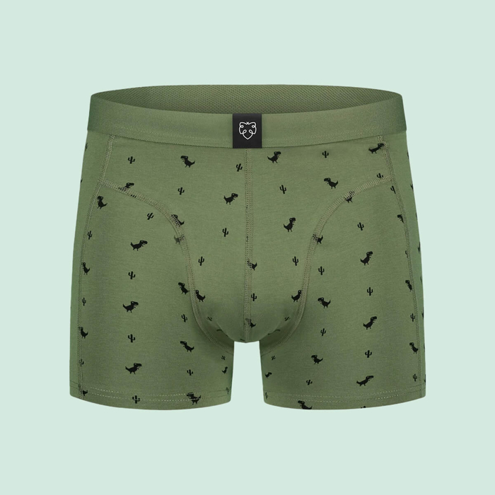 ADAM 8BIT DINO BOXER BRIEFS ASSORTED S